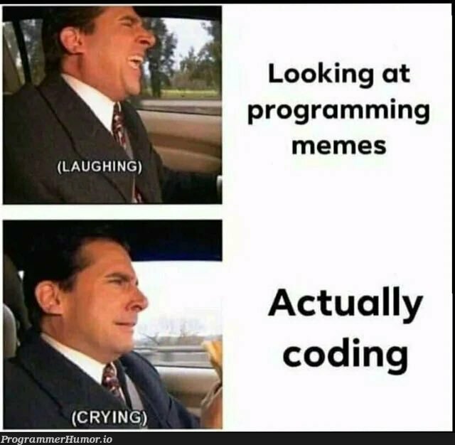 The Pain Is Real Programmerhumor Io