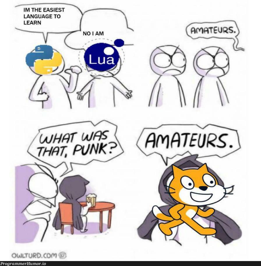 Scratch The Definitive Visual Coding Language ProgrammerHumor Io