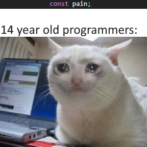 Damn Bro Das Deep ProgrammerHumor Io