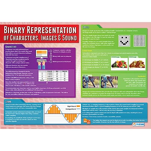 Daydream Education Binary Representation of Characters Classroom Poster - EXTRA LARGE 33” x 23.5” - Laminated - Computer Science Middle & High School Class Decor - Wall Charts