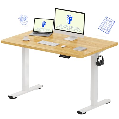 FLEXISPOT EN1 48"x30" One-Piece Standing Desk, Maple