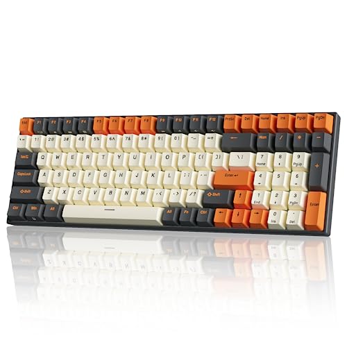 RK ROYAL KLUDGE RK100 Wireless Mechanical Keyboard RGB Backlit Bluetooth5.1/2.4G/Wired 96% Full Size 100-Key Hot Swappable Gaming Keyboard Blue Switch Carbon