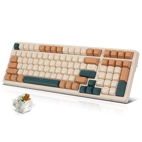 Qisan Wireless/Wired Mechanical Keyboard, Triple Mode 2.4G/USB-C/BT Wireless Gaming Keyboard, 100 Keys (98%) US Layout Brown Switch Rechargeable RGB Backlit Keyboards | Brown Combo