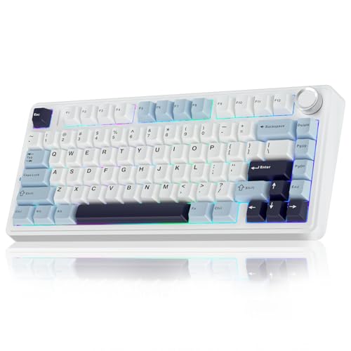 AULA F75 75% Wireless Mechanical Keyboard, Hot Swappable Creamy Keyboard, Pre-lubed Reaper Switches, 2.4GHz/Type-C/BT5.0, RGB Backlit Gaming Keyboards(White & Blue)