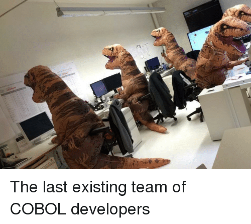 Programmer Humor, Team, and Cobol – ProgrammerHumor.io