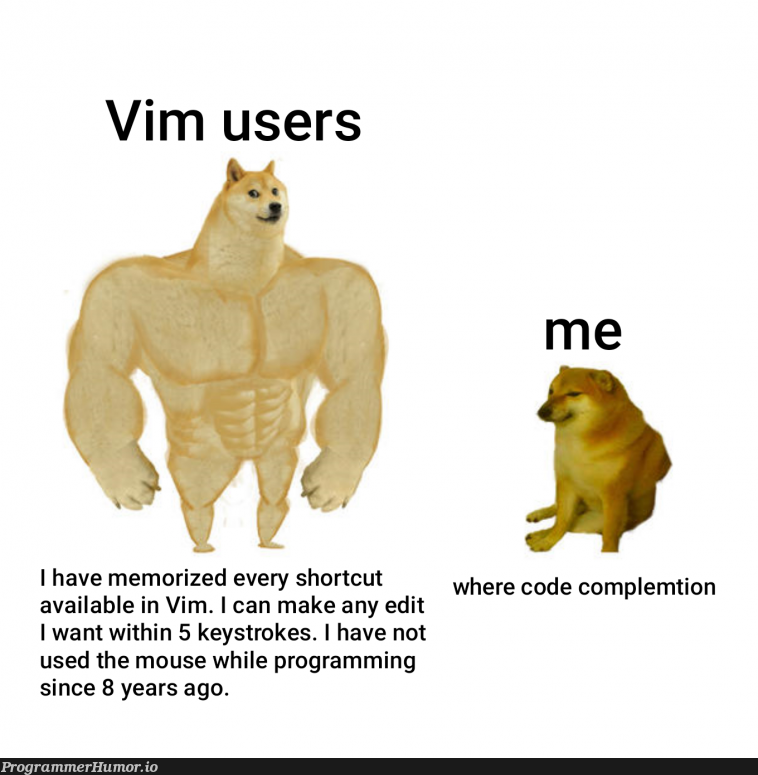 vim-user-runs-circles-around-me-with-hjkl-programmerhumor-io