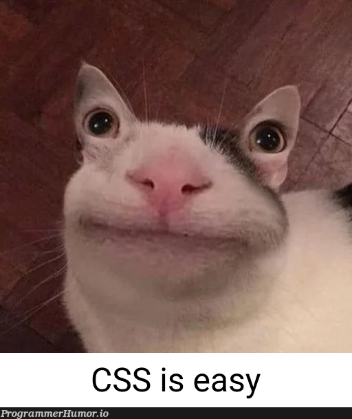 CSS Is Easy – ProgrammerHumor.io