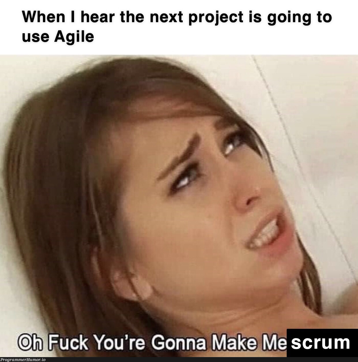 Not Safe For (Agile) Work(stream Integration) – ProgrammerHumor.io