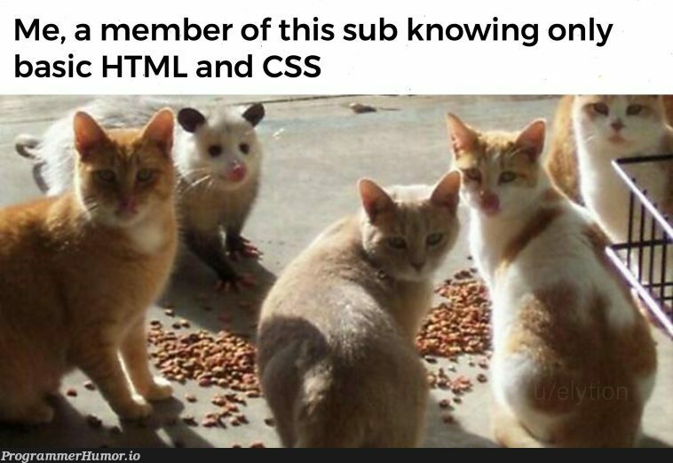 one of these things is not like the others | html-memes, css-memes, ML-memes, cs-memes | ProgrammerHumor.io