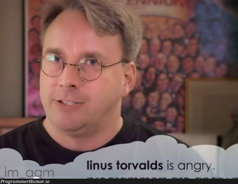 An Appropriate Summary Of Linus Torvalds – ProgrammerHumor.io