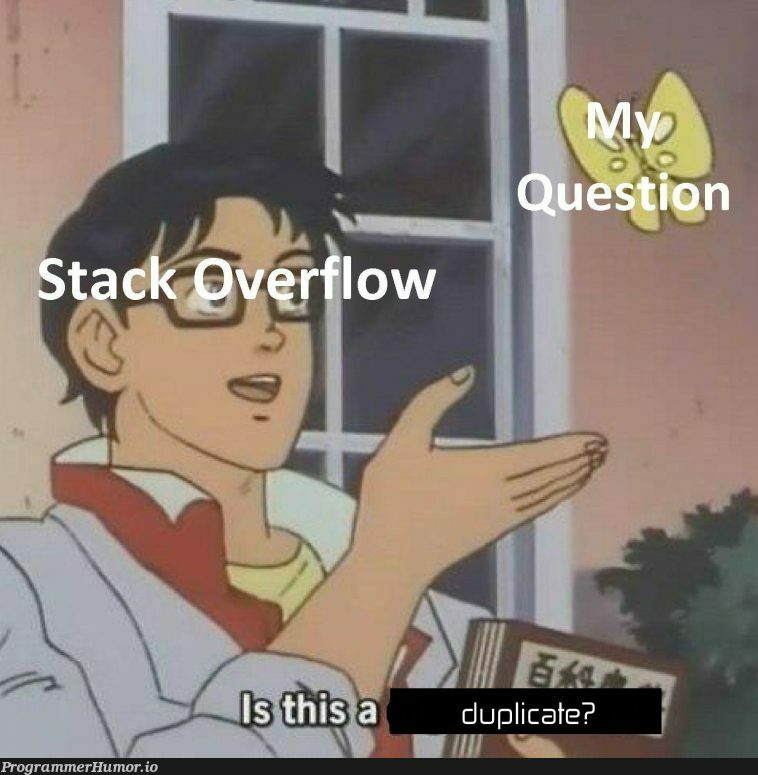 Stack Overflow In A Nutshell – ProgrammerHumor.io