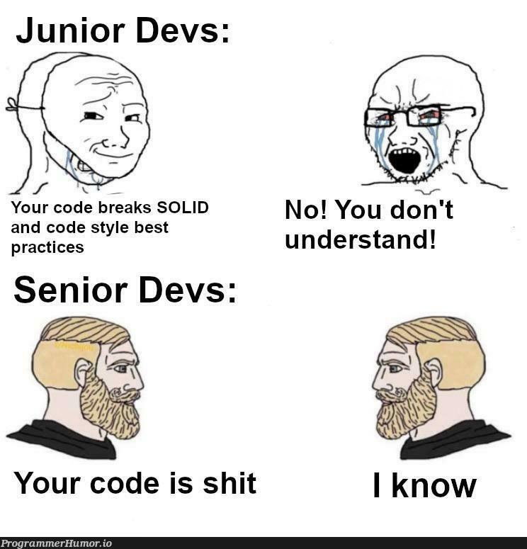 Junior Devs vs Senior Devs | code-memes, devs-memes, c-memes | ProgrammerHumor.io