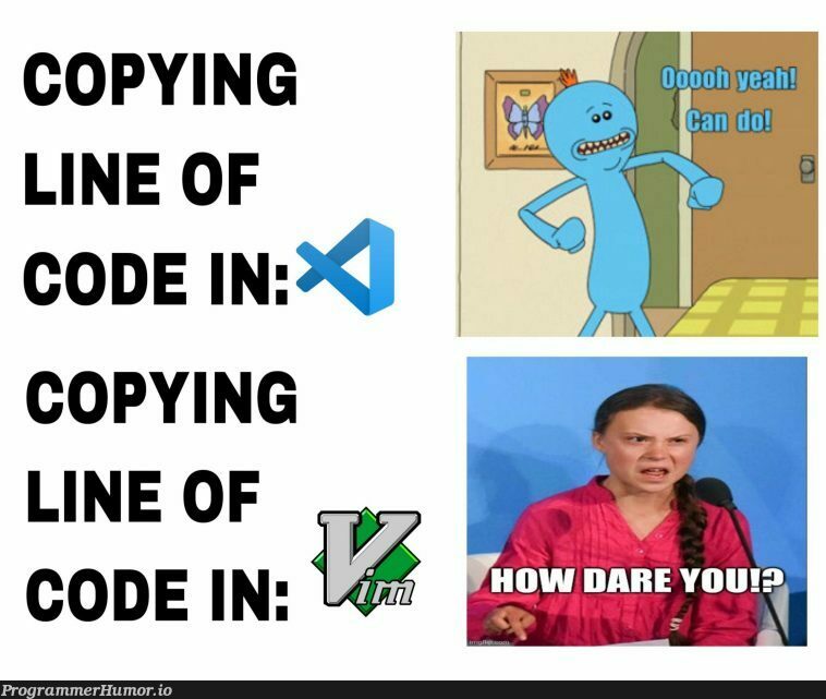 vscode-vim-programmerhumor-io