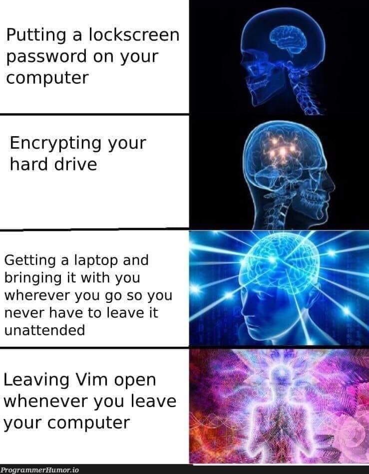 Best security ever... | computer-memes, vim-memes, loc-memes, lock-memes, password-memes, security-memes, IT-memes, laptop-memes | ProgrammerHumor.io