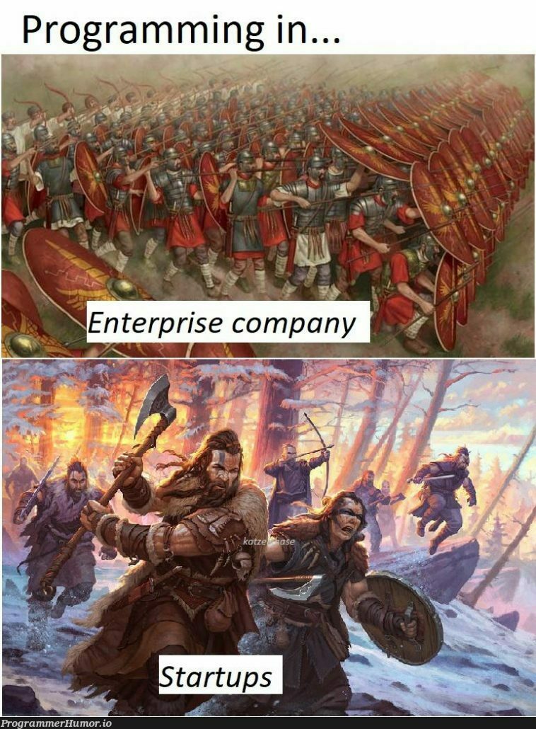 Programming : Enterprise Company vs Startups | programming-memes, program-memes, startup-memes | ProgrammerHumor.io