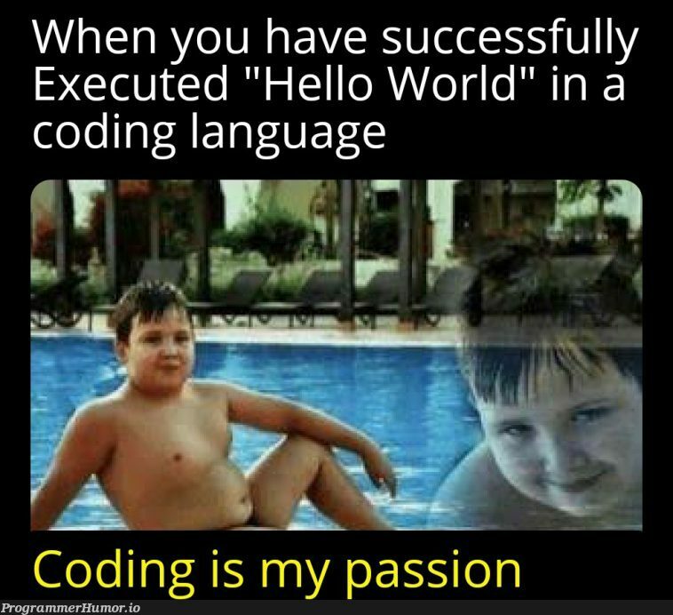 I love to Code | code-memes | ProgrammerHumor.io