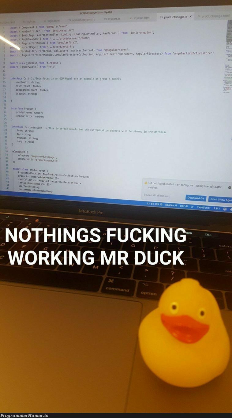 My friends experience with Rubber Duck Debugging | debugging-memes, bug-memes, angular-memes, string-memes, firebase-memes, function-memes, rest-memes, debug-memes, IT-memes, ionic-memes, component-memes, ide-memes, product-memes | ProgrammerHumor.io