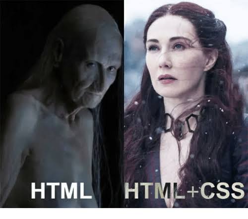 CSS is really important | css-memes, cs-memes | ProgrammerHumor.io