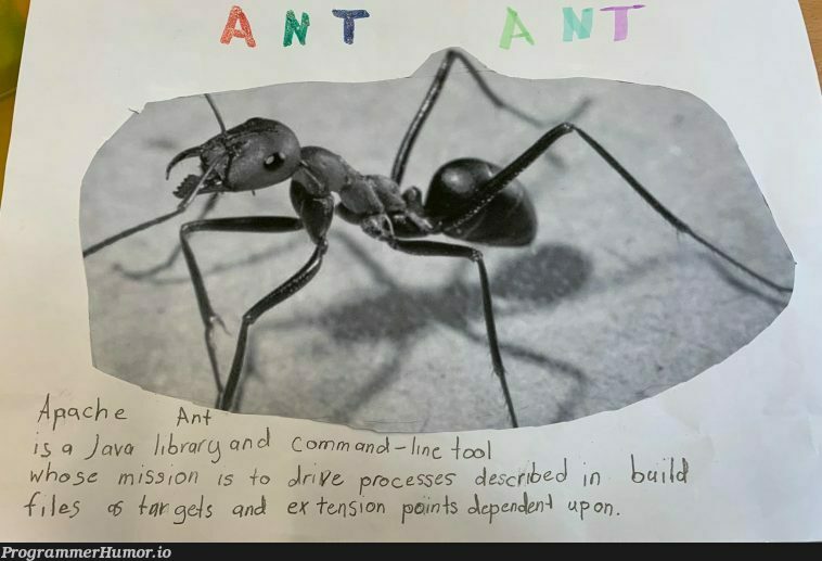 Got this from my friend who is a high school English teacher. One of her students was asked to describe an ant in English. Google has clearly failed her. | java-memes, google-memes | ProgrammerHumor.io