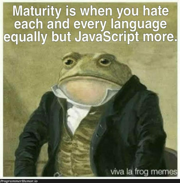 Start arguing comment section is all yours. | javascript-memes, java-memes, language-memes, comment-memes | ProgrammerHumor.io