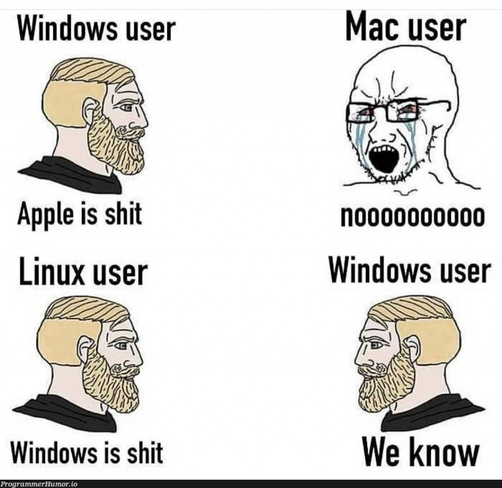 Sad windows 10 user – ProgrammerHumor.io