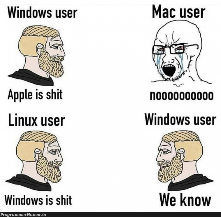 Sad windows 10 user | linux-memes, ux-memes, apple-memes, windows-memes, mac-memes | ProgrammerHumor.io