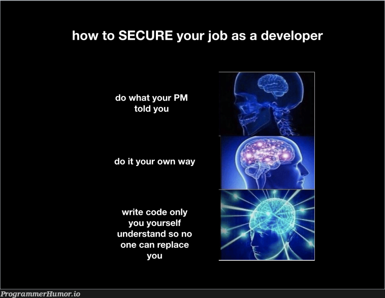 How to secure your job as a developer. | developer-memes, code-memes, IT-memes | ProgrammerHumor.io