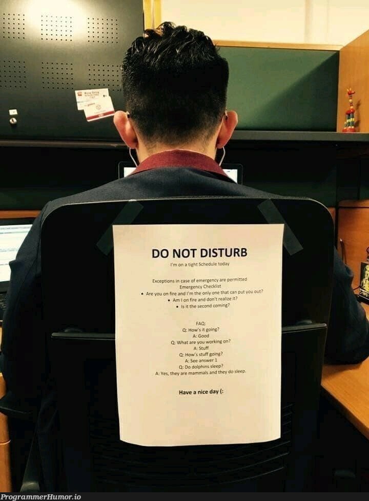 Do not disturb | ProgrammerHumor.io