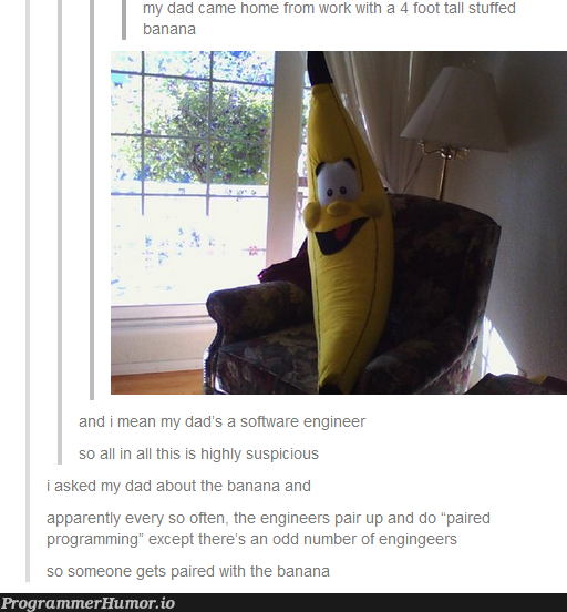 The Banana Programmer | programmer-memes, program-memes | ProgrammerHumor.io