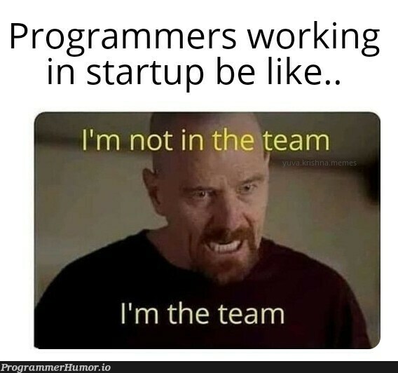 CTO in disguise.. | programmer-memes, program-memes, startup-memes | ProgrammerHumor.io
