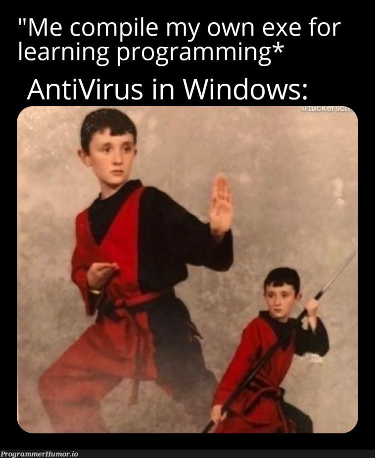 Defensive defender | programming-memes, program-memes, virus-memes, antivirus-memes, windows-memes | ProgrammerHumor.io