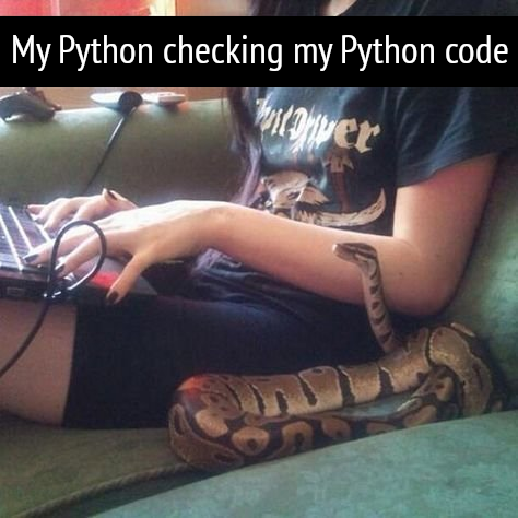 My Python is checking my Python Code! | code-memes, python-memes | ProgrammerHumor.io