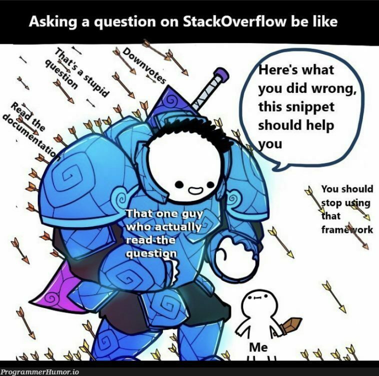 I hope this won’t be marked as duplicated | stackoverflow-memes, stack-memes, overflow-memes | ProgrammerHumor.io
