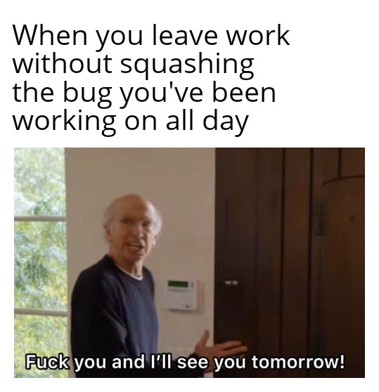 Curb your enthusiasm. | bug-memes | ProgrammerHumor.io