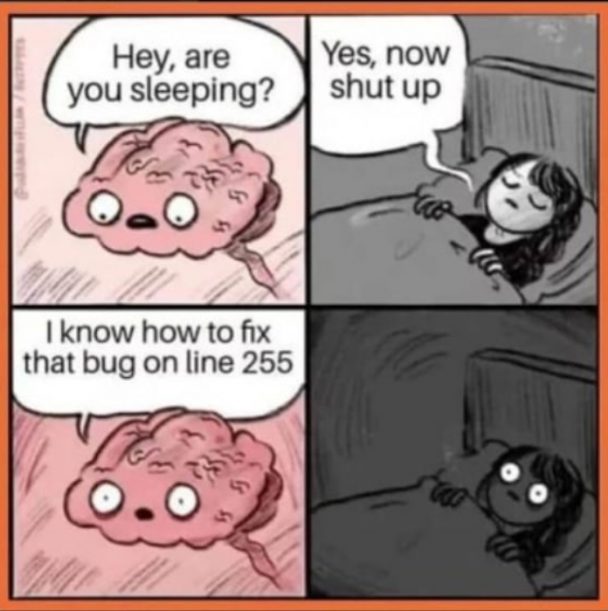 Really :| | bug-memes, fix-memes | ProgrammerHumor.io