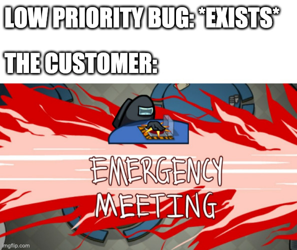Based on many true stories | bug-memes | ProgrammerHumor.io