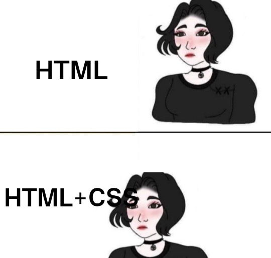 HTML + CSS | html-memes, css-memes, ML-memes, cs-memes | ProgrammerHumor.io