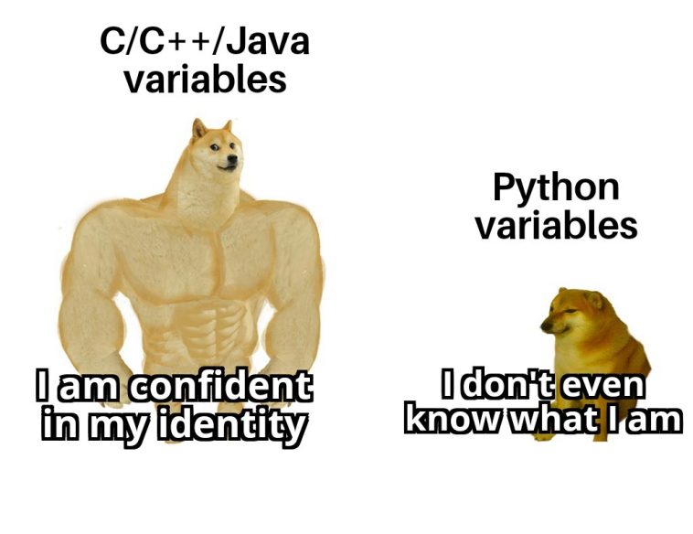 Type stronk | java-memes, python-memes, variables-memes, c++-memes | ProgrammerHumor.io