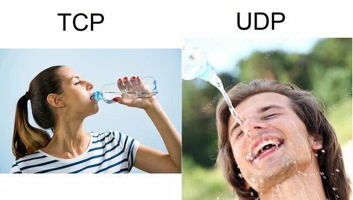 TCP vs UPD | tcp-memes | ProgrammerHumor.io