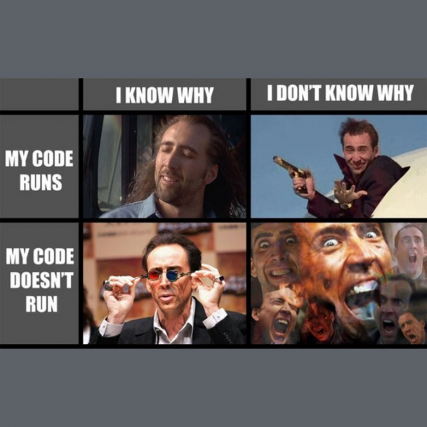 the four Nicolas stages....! | code-memes | ProgrammerHumor.io