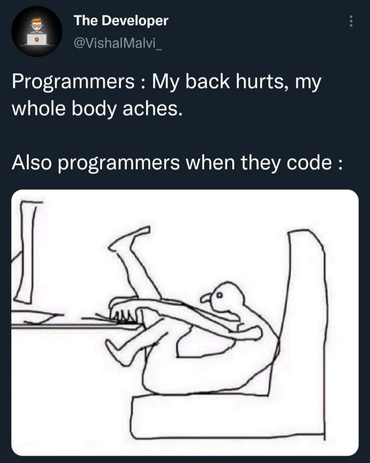 Sometimes I sit like a shrimp | programmer-memes, developer-memes, code-memes, program-memes | ProgrammerHumor.io