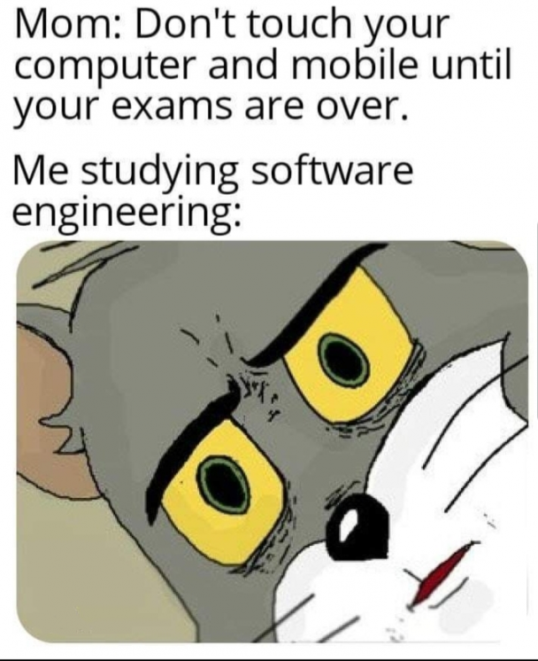 It do be like that... | software-memes, computer-memes, engineer-memes, software engineer-memes, engineering-memes, IT-memes | ProgrammerHumor.io
