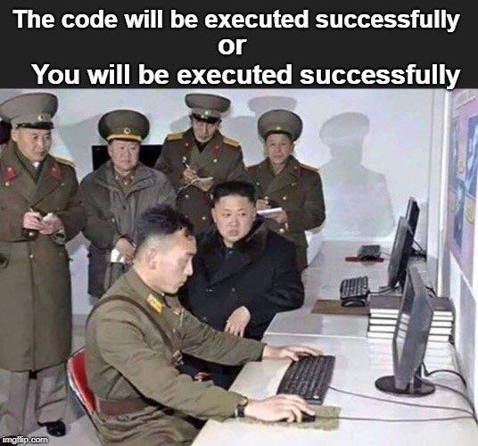 Executed successfully... | code-memes | ProgrammerHumor.io