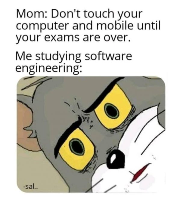Sorry Mom! | software-memes, computer-memes, engineer-memes, software engineer-memes, engineering-memes | ProgrammerHumor.io
