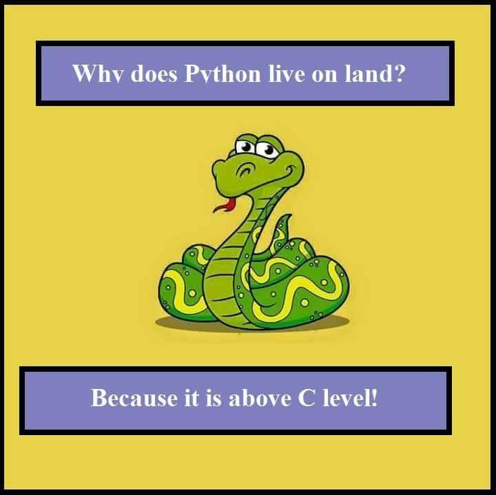Why does Python live on land? | python-memes | ProgrammerHumor.io