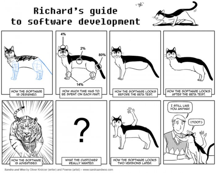 Guide to software development | software-memes, development-memes, test-memes, rest-memes, ide-memes | ProgrammerHumor.io