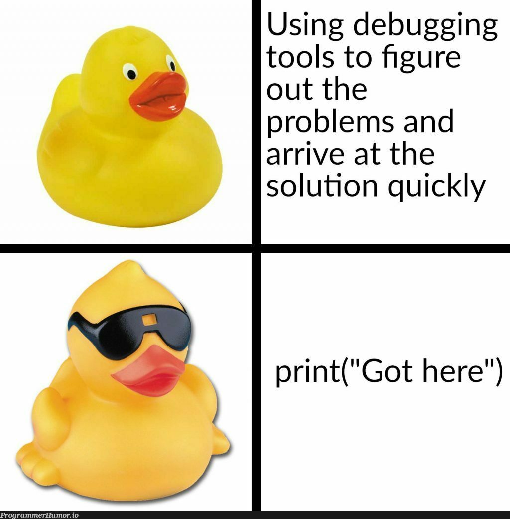 Duck, Duck, Debug – ProgrammerHumor.io