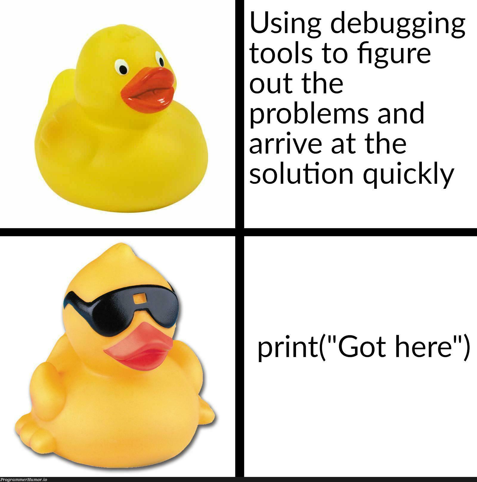 Say hello to my new debugging tool-Turbo duck : r/ProgrammerHumor