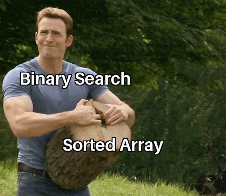 Binary Search  ProgrammerHumor.io