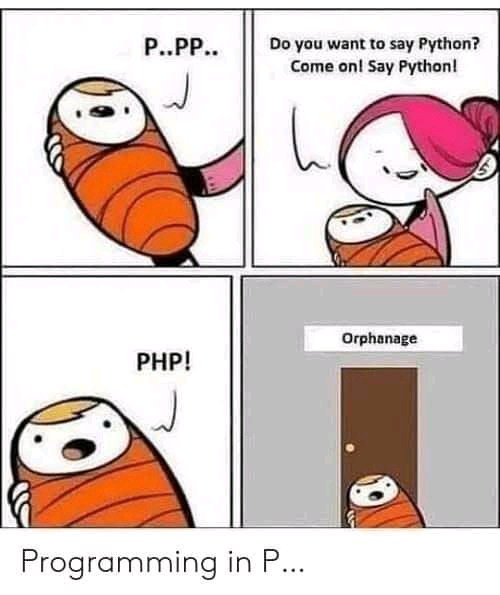 Orphanage Programmerhumor Io